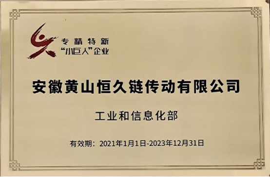 国家级专精特新小巨人企业
